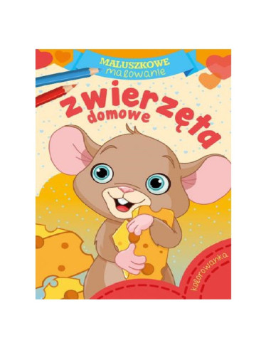 KOLOROWANKA  "M-M ZWIERZĘTA DOMOWE"