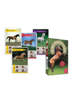 GRA KARCIANA "KWARTET - KONIE"