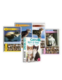 GRA KARCIANA "KWARTET - KOTY"