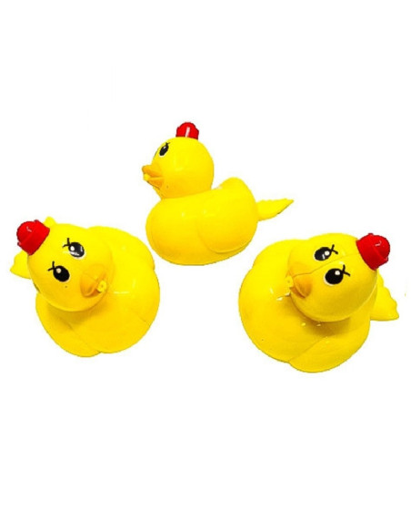 NAKRĘCANA KACZUSZKA DO WANNY