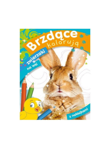 KOLOROWANKA Z NAKLEJKAMI  Brzdące kolorują zwierzaki na wsi""
